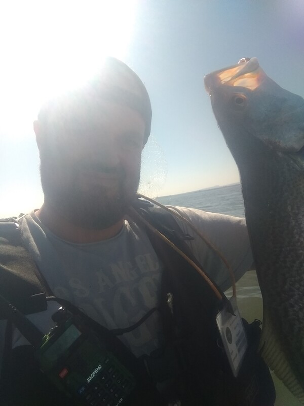 Fish Profile Picture